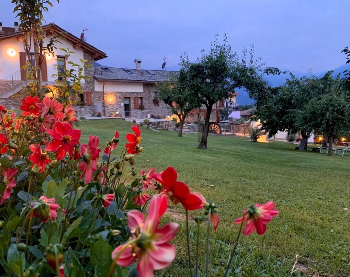 La Roggia - Lake Como Heritage Home In Molino Maufet Watermill - Patio On The Garden Colico Exterior foto